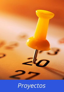 Proyectos