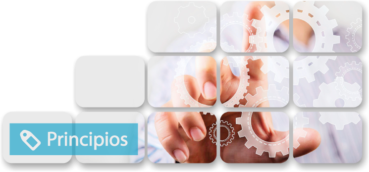 principios